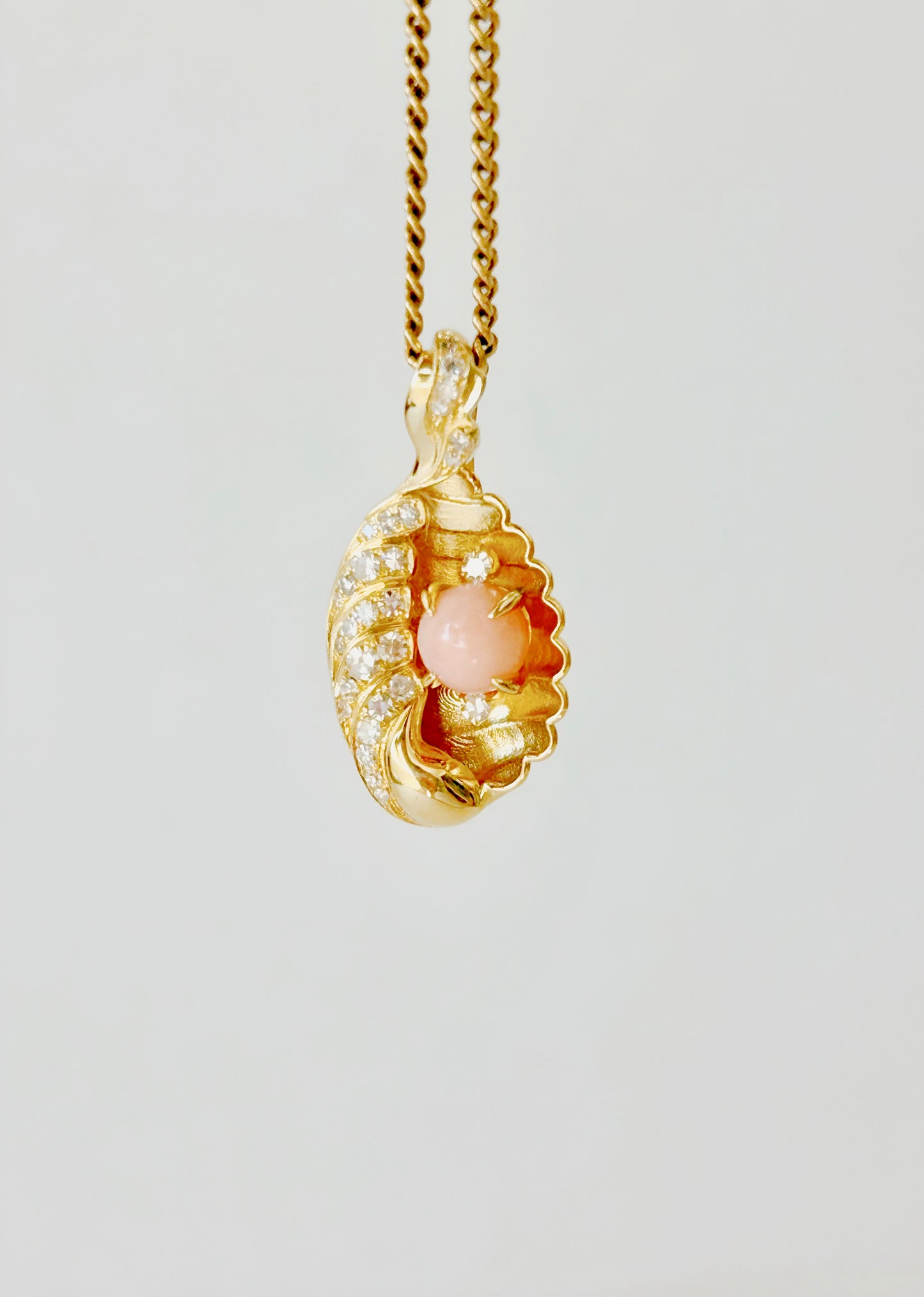 Rovie Made: Conch de Venus