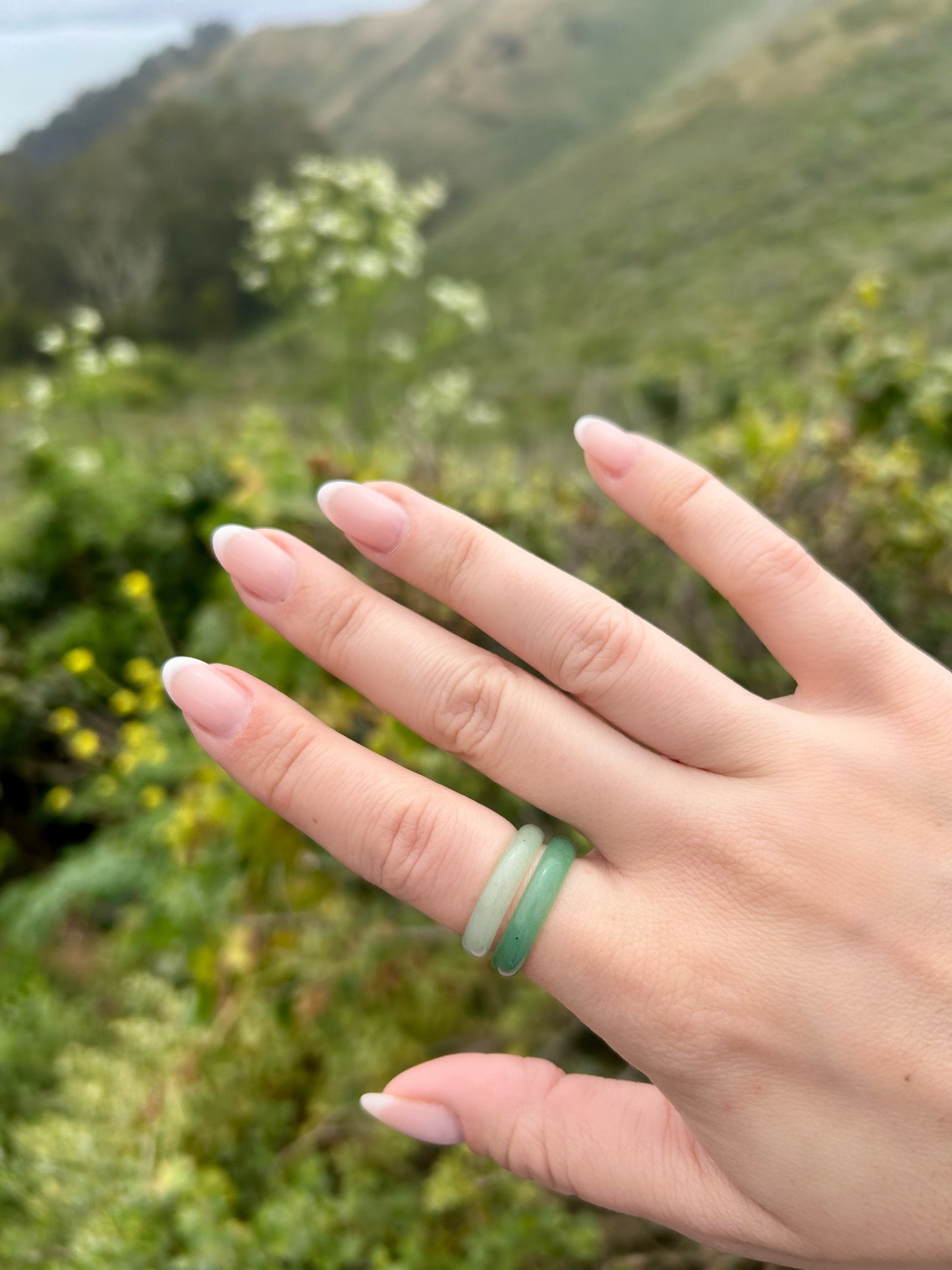 Jadeite Ring - Sz 8